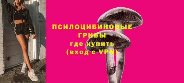 твердый Абаза