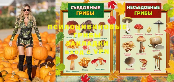 твердый Абаза