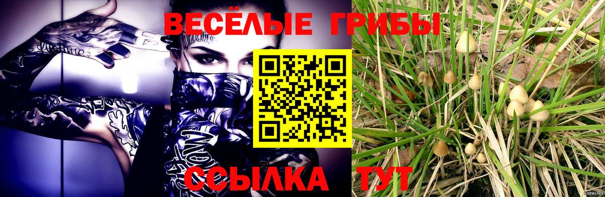 Галлюциногенные грибы ЛСД Ялта